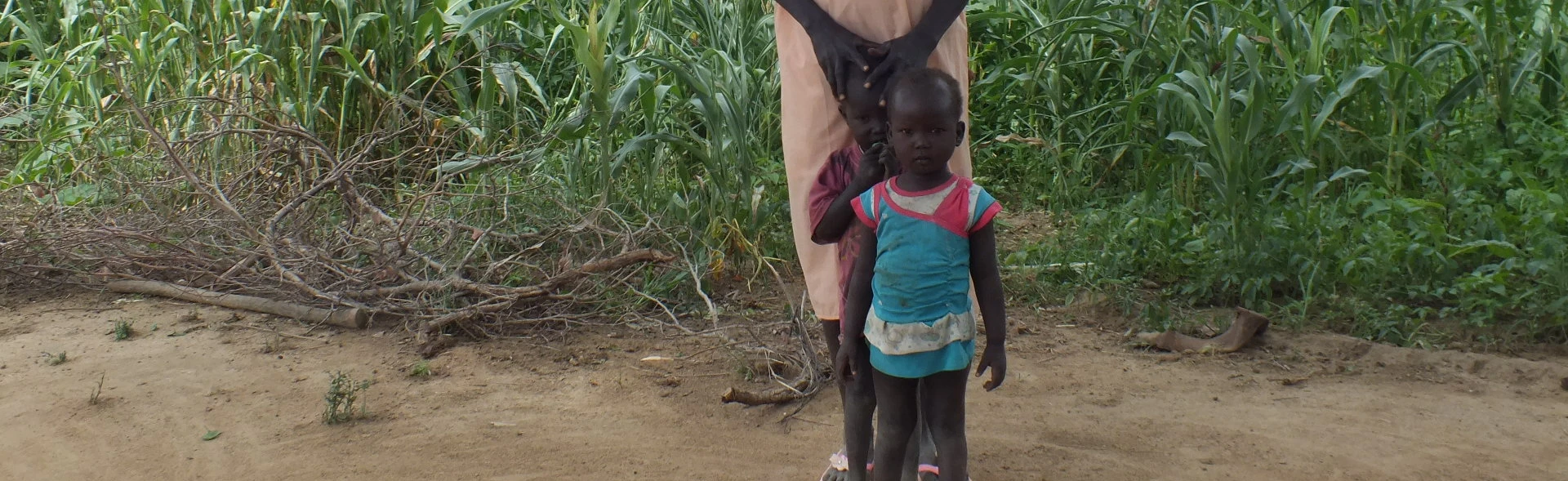 When the harvest struggles and the lean season arrives, PIN helps South Sudanese with cash for work
