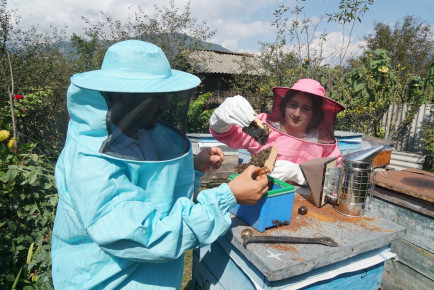 “You should be passionate about your work“: Beekeeping in the Mountains of Georgia
