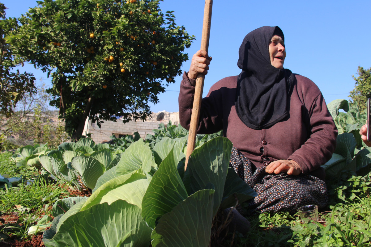 Fighting food insecurity in Syria through women-led gardens