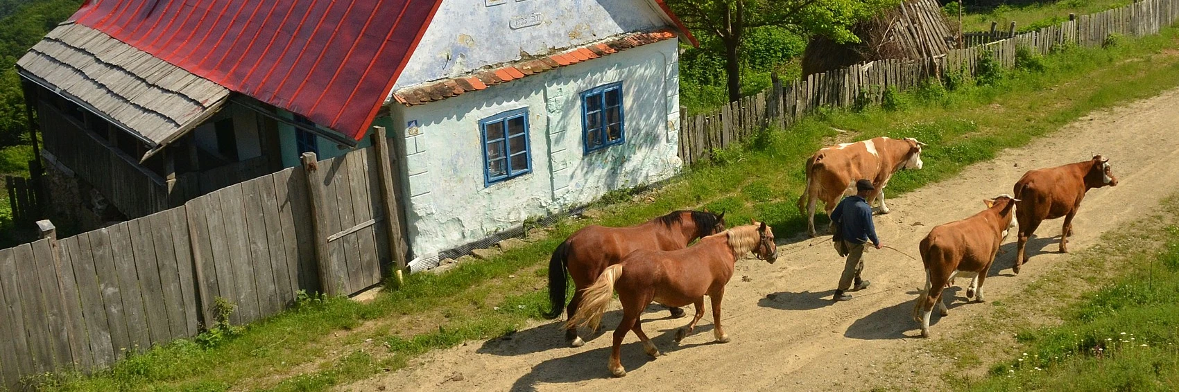 Romania: Emergency Response & Recovery