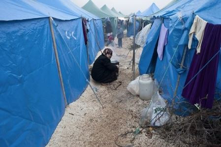 Non-food items & Shelter