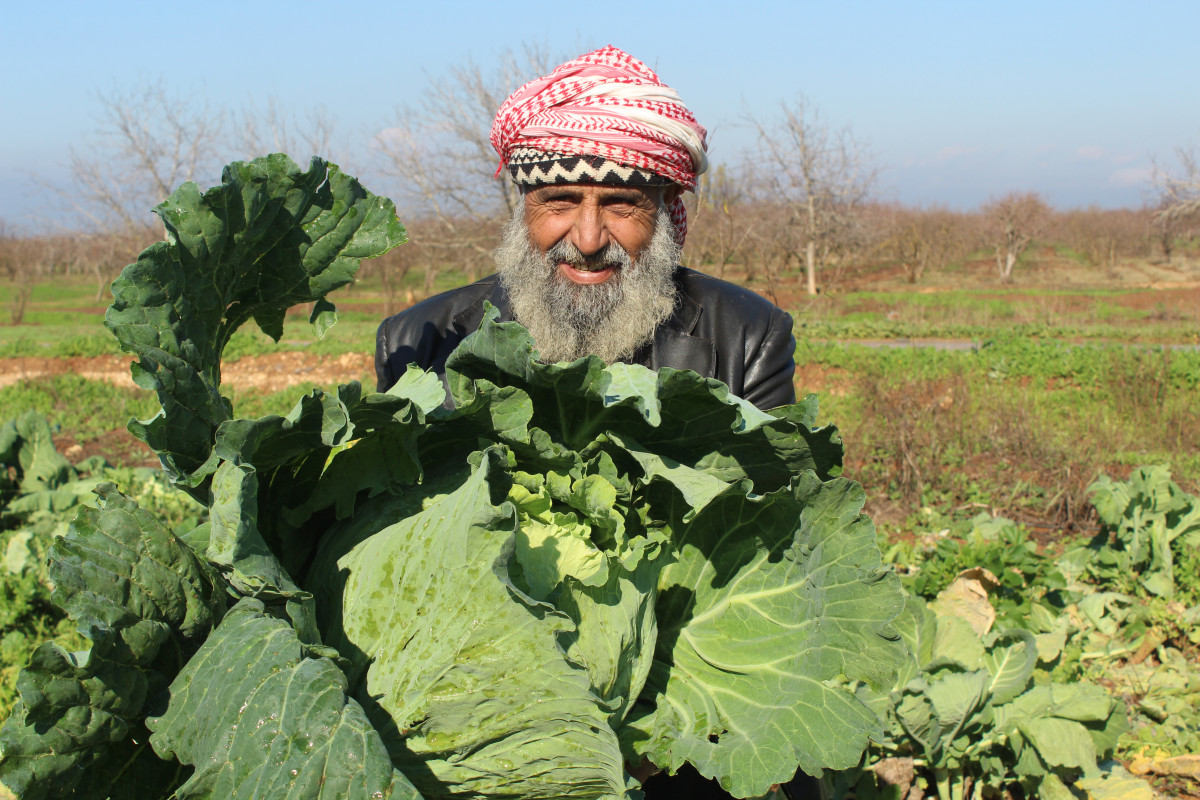 Livelihoods & Agriculture