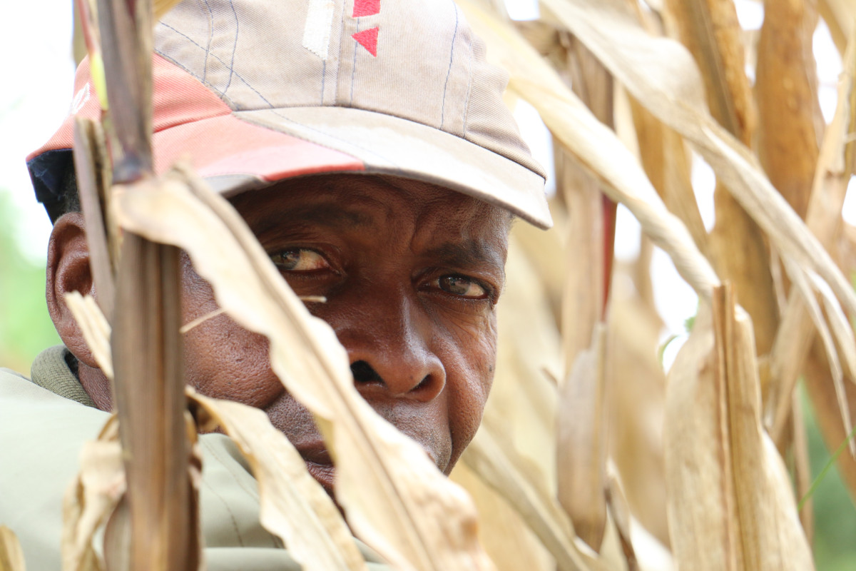 Chitanda: Resilient agriculture systems to improve food and nutritional security