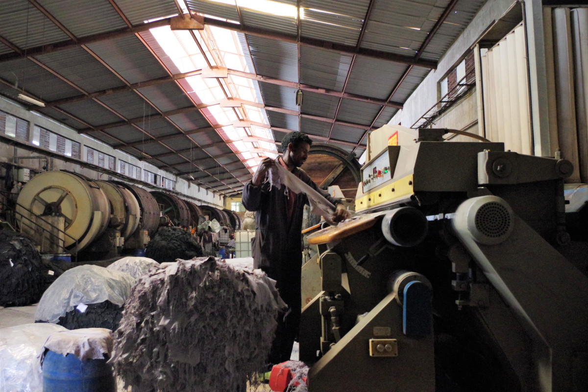 LISEC - Green Jobs in Leather Sector in Modjo