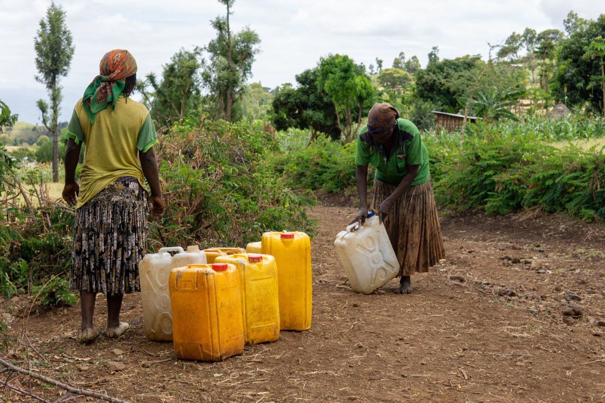 Multisectoral life-saving response to the acute needs of the most vulnerable IDPs, returnees and host communities in Borena zone, Oromiya, and in Konso, SNNP, Ethiopia