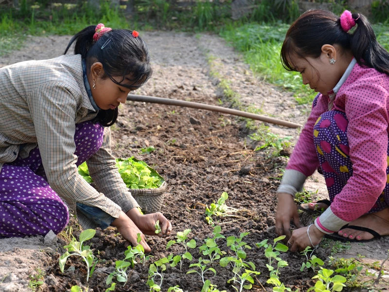 Improving Livelihoods in Rural Areas of Kampong Chhnang province