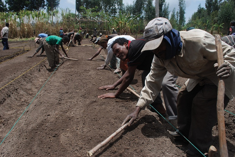People in Need Supporting Development of 12 Farming Training Centres in Ethiopia; Thus Help Thousands of Farmers 