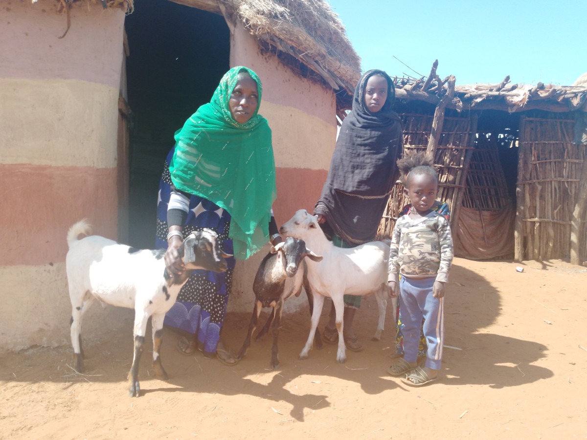Pastoralists in Ethiopia Affected by Severe Drought Receive Cash Assistance to Start New Life 