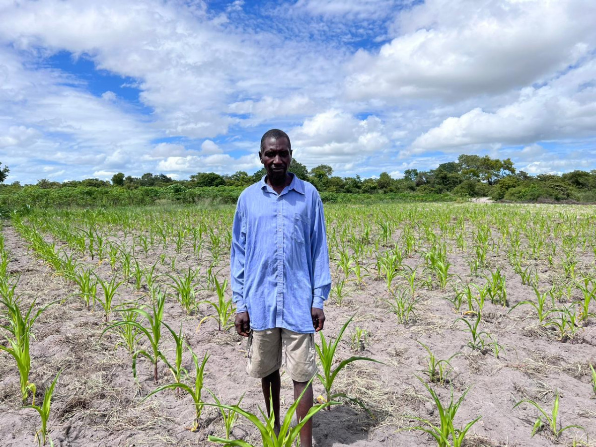 Biochar - Fueling a Regenerative Agriculture Revolution in Zambia