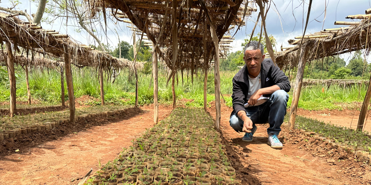 Earth Day: How Mesfin’s work help's to mitigate the impacts of climate change in Ethiopia
