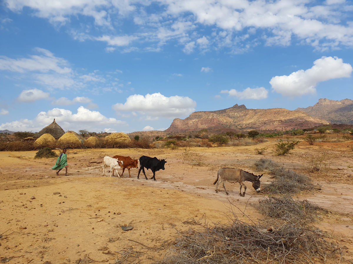 Set off with us on a journey around Ethiopia