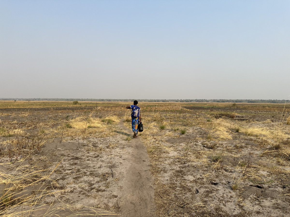 Zambia's Drought Crisis: Our Response to Food Insecurity and Health Risks