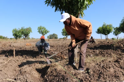 Chitanda Project: Ensuring Food Security in Huíla Province, Angola