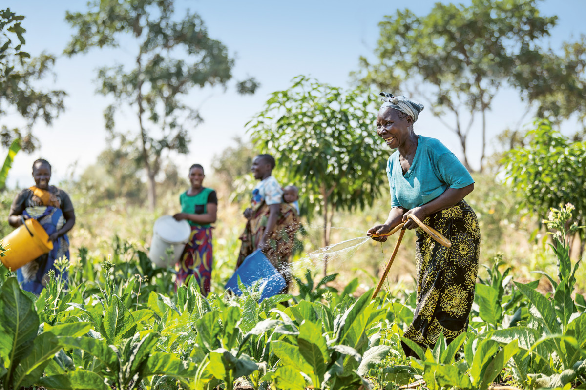 Global Hunger Index 2024: How gender justice can advance climate resilience and zero hunger