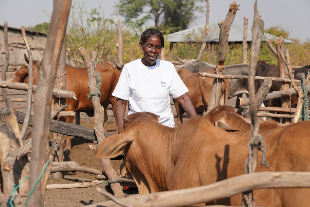 Cattle for Change: Reimagining Community Resilience Through Livestock Sharing