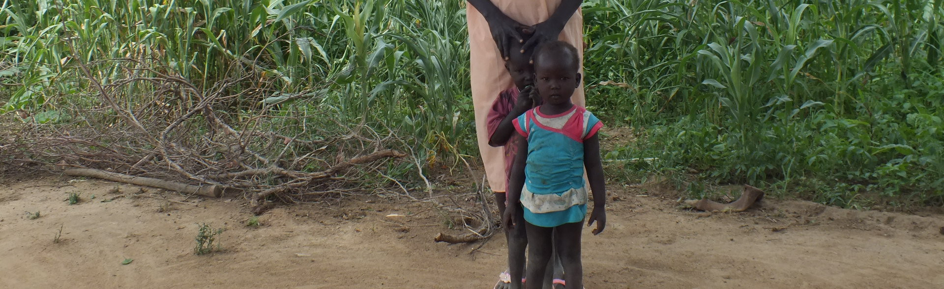 When the harvest struggles and the lean season arrives, PIN helps South Sudanese with cash for work