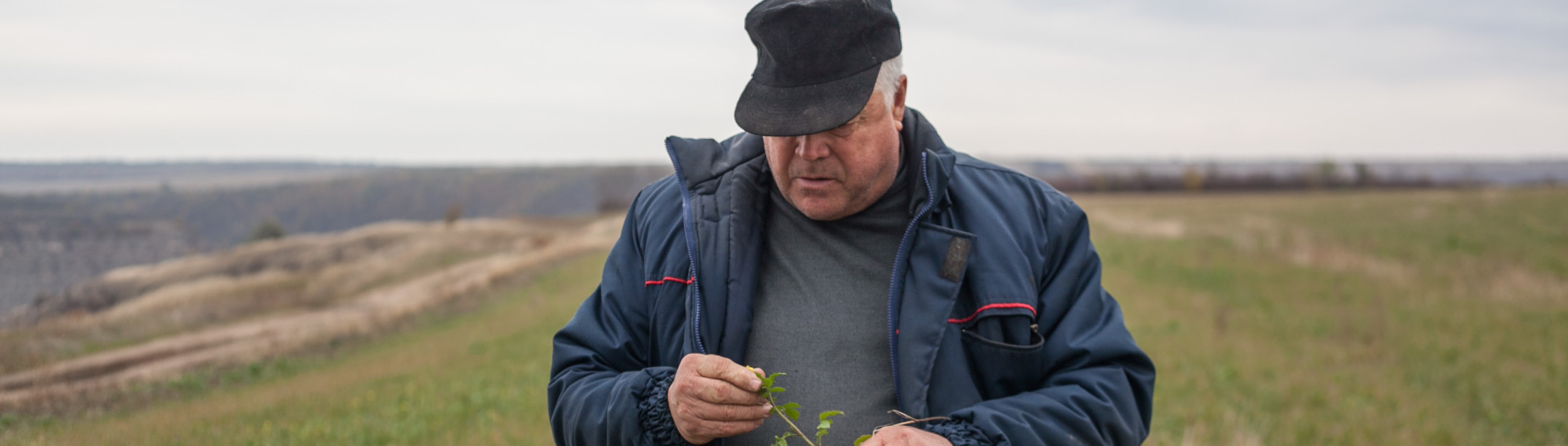 I feed the soil, says Mihai. Moldovan farmer adopts principles of organic agriculture to care for the future