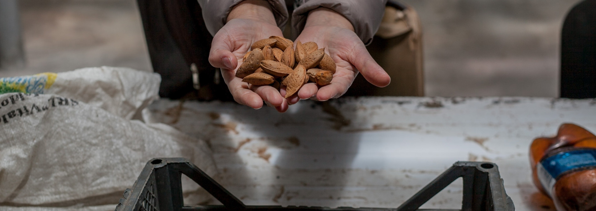 Moldovan organic almonds find their way to European tables