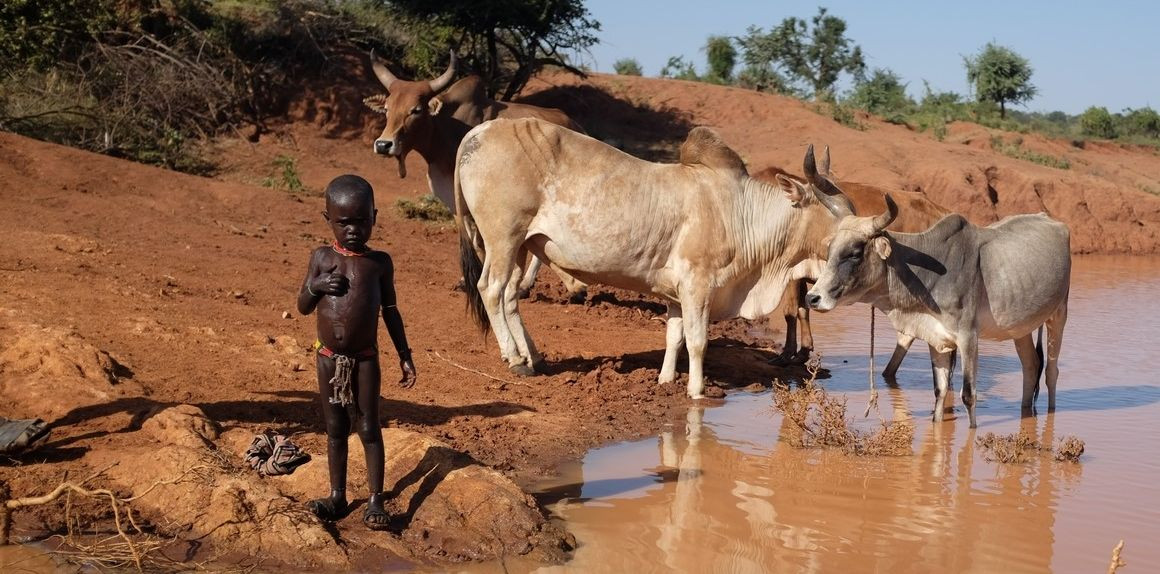 South Omo: We are helping pastoral tribes endangered by the prolonged droughts