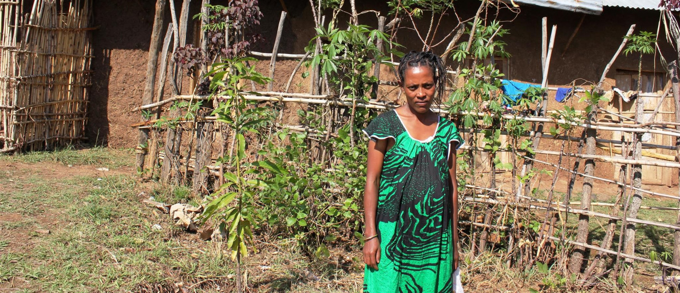 Building Resilience and Tackling Undernutrition in Ethiopia