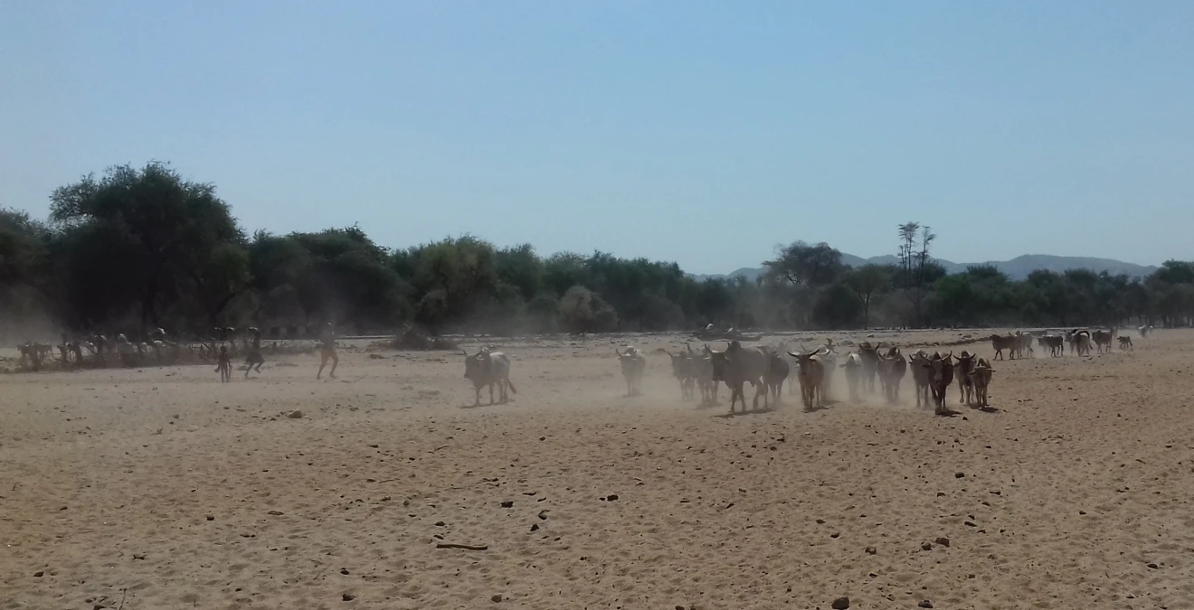 Advancing green energy in Africa