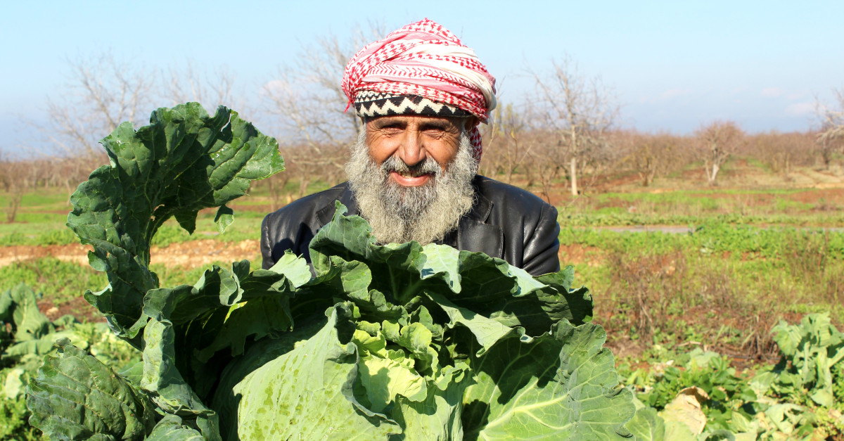 Abdul-Rahman with the cabbages he has grown, thanks to vouchers for seeds from People in Need.