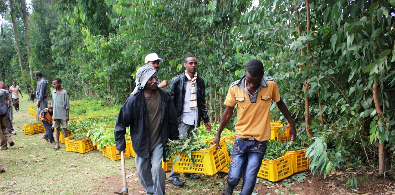 Natural Resource Management in Ethiopia