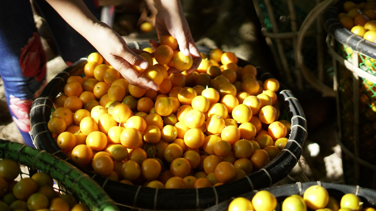 Four stories of small business resilience in the Philippines✊