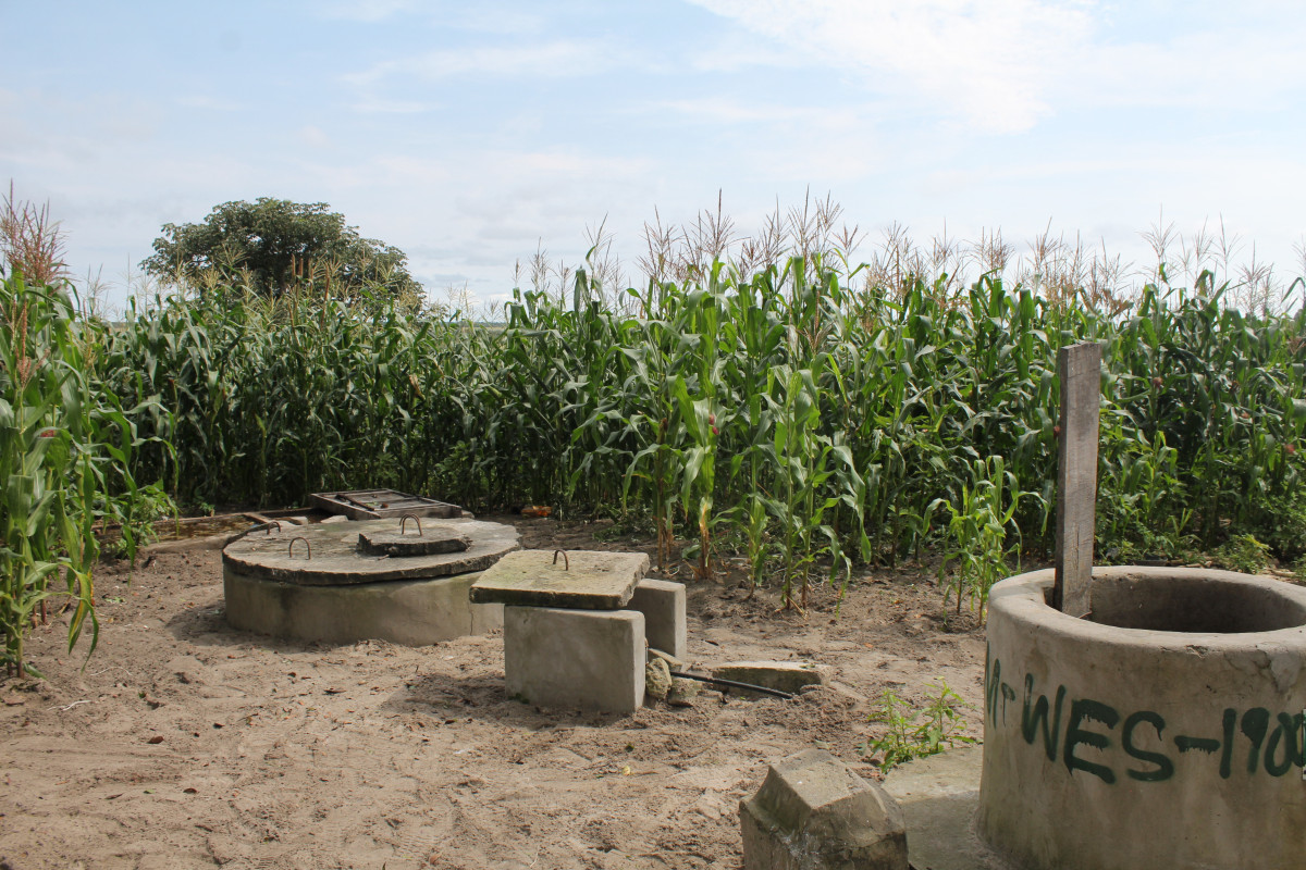 Affordable Energy, Flourishing Gardens, And Increased Crop Yields Through the Use of Biodigesters in Western Province, Zambia